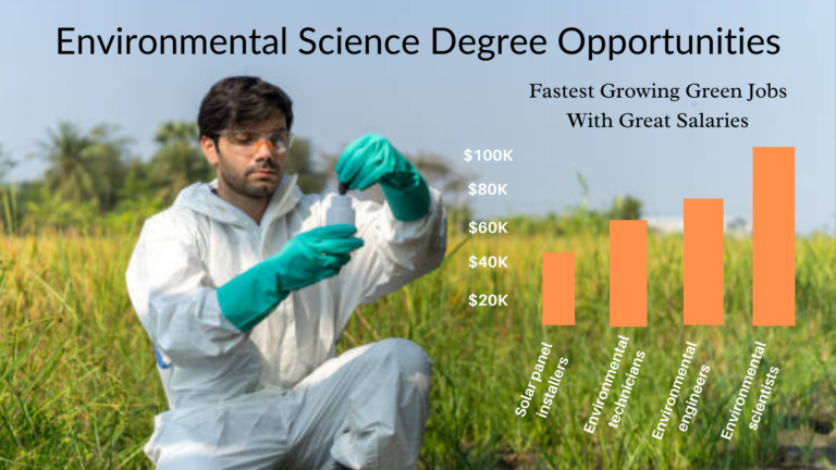 What to do with an environmental science degree?