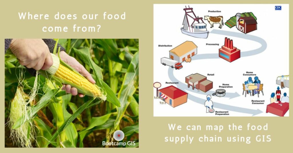 Our food supply chain system from production to our plates.