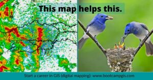 Mapping threatened bird species